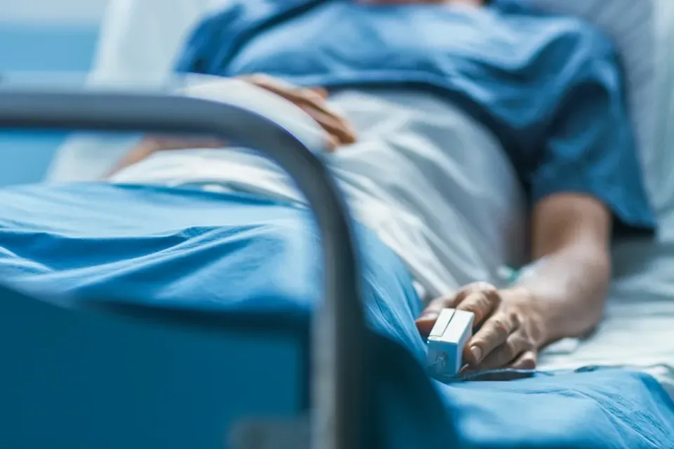 Morbimortalidade por zoonoses no Brasil é destaque em Boletim