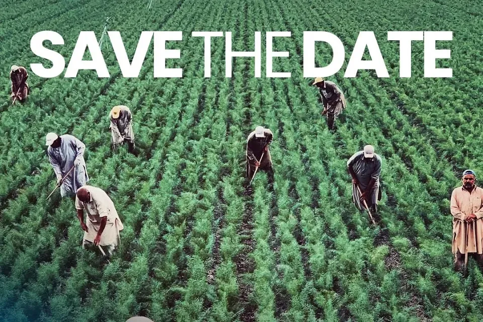 Ribeirão Preto realiza Simpósio APMT