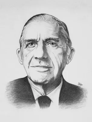 Henrique Arouche de Toledo