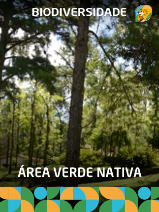 Área verde