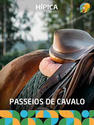 Passeios a cavalo